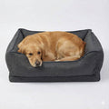 Orthopedic Anti Slip Car Dog Bed Back Seat