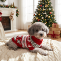 Knitted Dog Christmas Sweater for Small Pets — lifestyle product image